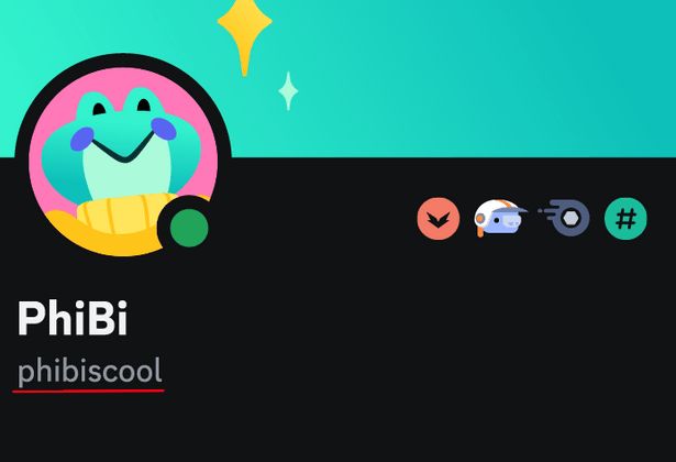 Discord Username Example